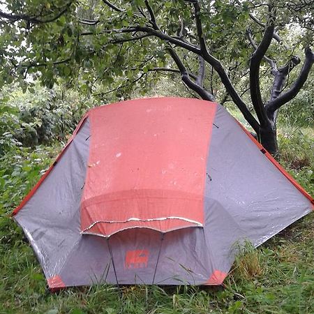 Issyk-Kul - Camping Grigoryevka Hotel Grigor'yevka Eksteriør billede