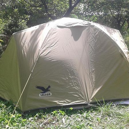 Issyk-Kul - Camping Grigoryevka Hotel Grigor'yevka Eksteriør billede