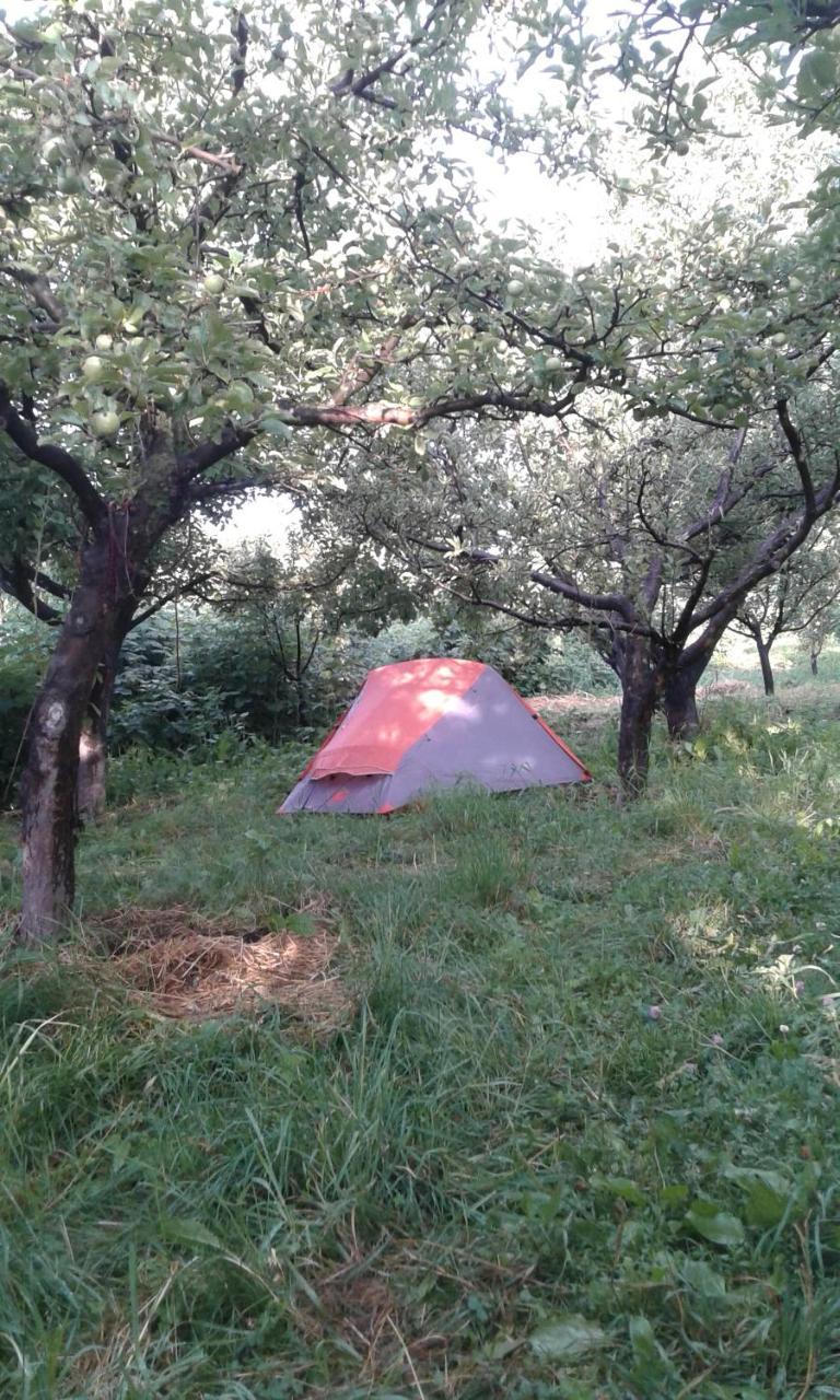 Issyk-Kul - Camping Grigoryevka Hotel Grigor'yevka Eksteriør billede