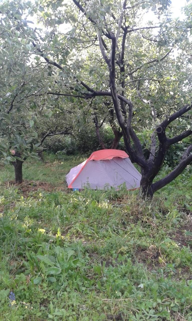 Issyk-Kul - Camping Grigoryevka Hotel Grigor'yevka Eksteriør billede