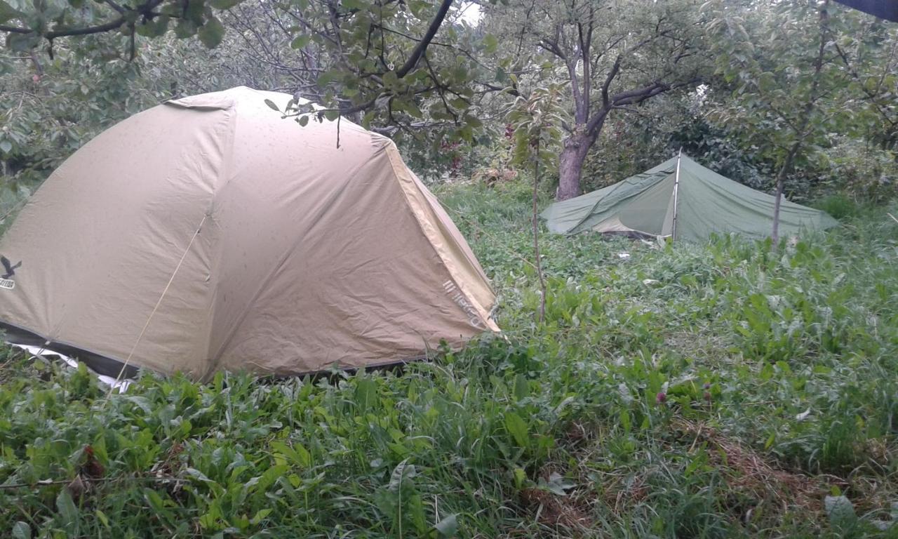 Issyk-Kul - Camping Grigoryevka Hotel Grigor'yevka Eksteriør billede