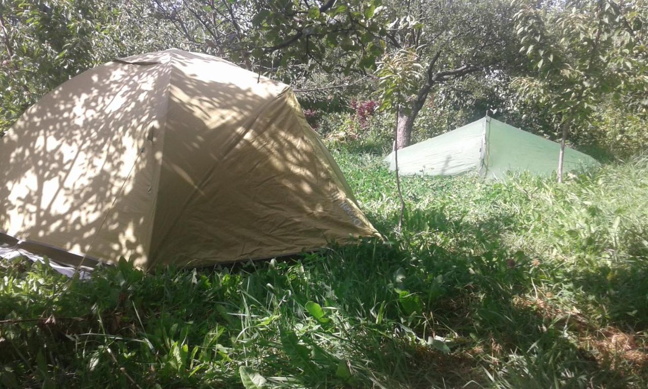 Issyk-Kul - Camping Grigoryevka Hotel Grigor'yevka Eksteriør billede